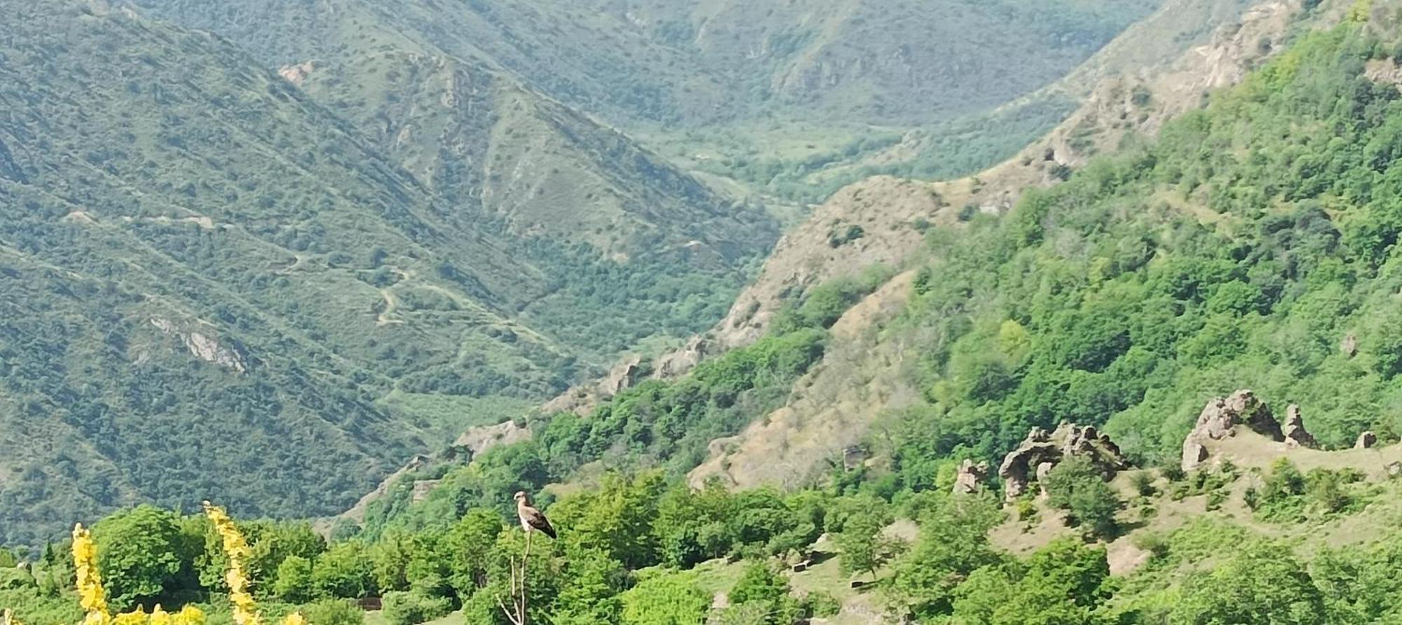 Kirch Hotel & Restaurant Goris Esterno foto